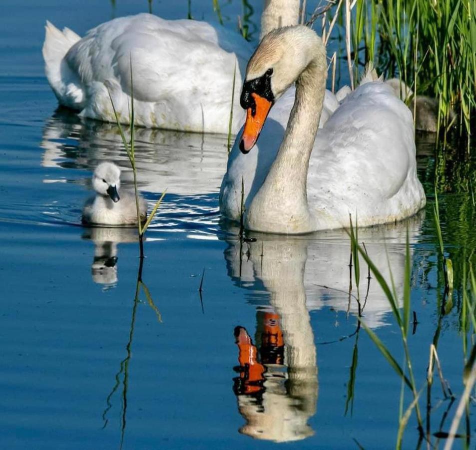 Whitstable Serenity Екстер'єр фото